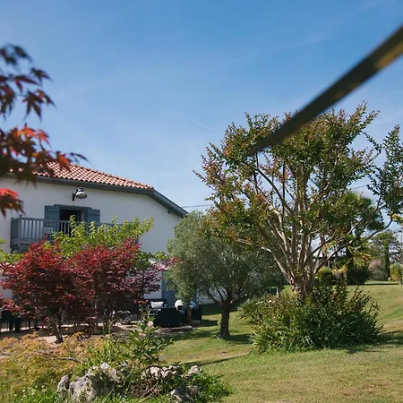 Bet Loc 14 Personnes Villa Saubrigues